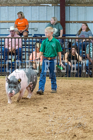 MAYES_COUNTY_FAIR_SWINE_©KTROYER-9681