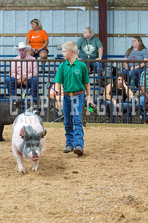 MAYES_COUNTY_FAIR_SWINE_©KTROYER-9682