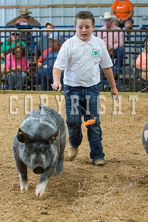 MAYES_COUNTY_FAIR_SWINE_©KTROYER-9683