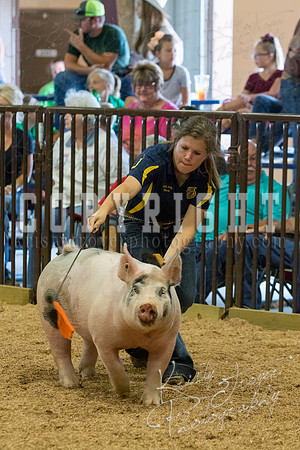 MAYES_COUNTY_FAIR_SWINE_©KTROYER-9688