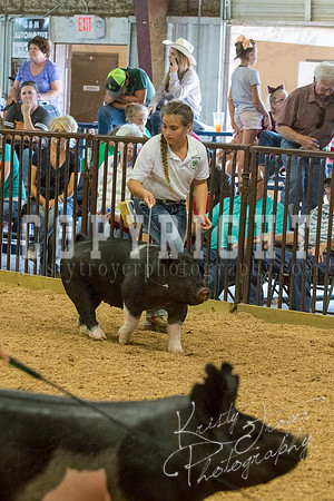MAYES_COUNTY_FAIR_SWINE_©KTROYER-9691