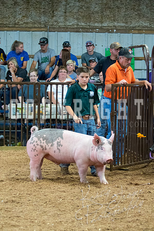 MAYES_COUNTY_FAIR_SWINE_©KTROYER-9724