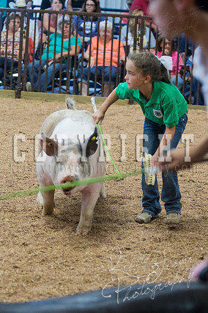 MAYES_COUNTY_FAIR_SWINE_©KTROYER-9729