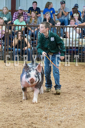 MAYES_COUNTY_FAIR_SWINE_©KTROYER-9730