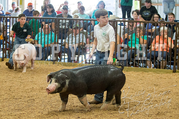 MAYES_COUNTY_FAIR_SWINE_©KTROYER-9734