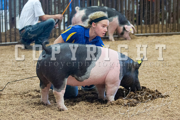 MAYES_COUNTY_FAIR_SWINE_©KTROYER-9738