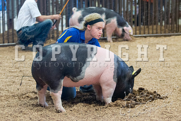 MAYES_COUNTY_FAIR_SWINE_©KTROYER-9739