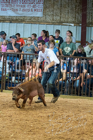 MAYES_COUNTY_FAIR_SWINE_©KTROYER-9474