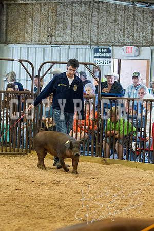 MAYES_COUNTY_FAIR_SWINE_©KTROYER-9475