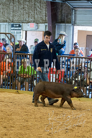 MAYES_COUNTY_FAIR_SWINE_©KTROYER-9476