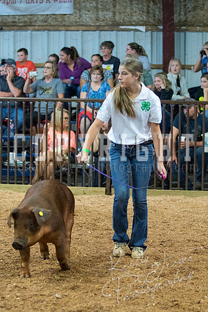 MAYES_COUNTY_FAIR_SWINE_©KTROYER-9477