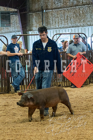 MAYES_COUNTY_FAIR_SWINE_©KTROYER-9478