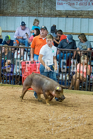 MAYES_COUNTY_FAIR_SWINE_©KTROYER-9496