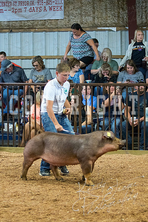 MAYES_COUNTY_FAIR_SWINE_©KTROYER-9497