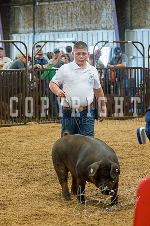 MAYES_COUNTY_FAIR_SWINE_©KTROYER-9498