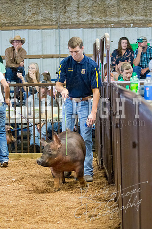 MAYES_COUNTY_FAIR_SWINE_©KTROYER-9499