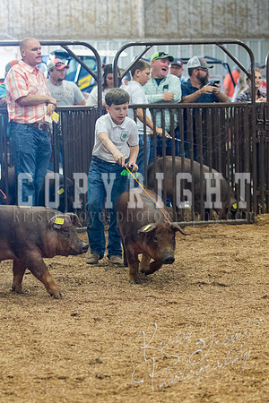 MAYES_COUNTY_FAIR_SWINE_©KTROYER-9500