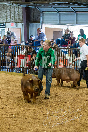 MAYES_COUNTY_FAIR_SWINE_©KTROYER-9501