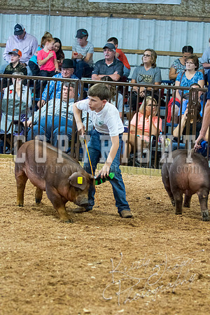 MAYES_COUNTY_FAIR_SWINE_©KTROYER-9503