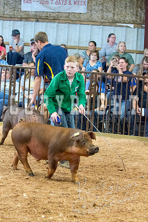 MAYES_COUNTY_FAIR_SWINE_©KTROYER-9504