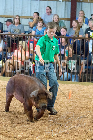 MAYES_COUNTY_FAIR_SWINE_©KTROYER-9505