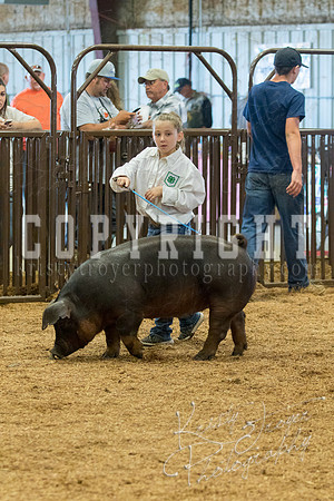 MAYES_COUNTY_FAIR_SWINE_©KTROYER-9506
