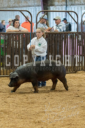 MAYES_COUNTY_FAIR_SWINE_©KTROYER-9507