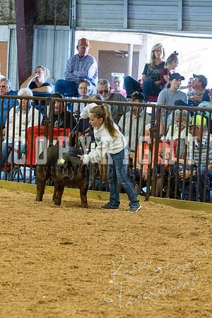 MAYES_COUNTY_FAIR_SWINE_©KTROYER-9508