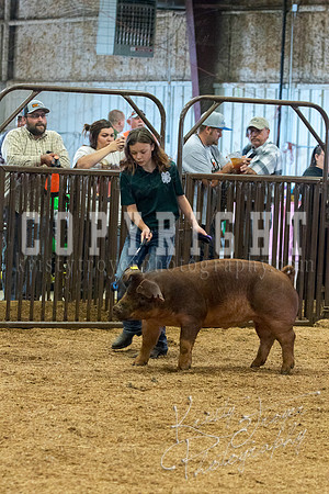 MAYES_COUNTY_FAIR_SWINE_©KTROYER-9509