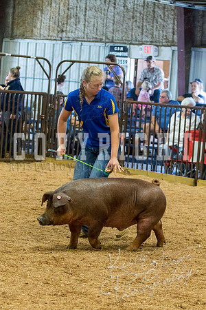 MAYES_COUNTY_FAIR_SWINE_©KTROYER-9510