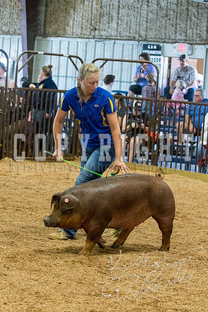 MAYES_COUNTY_FAIR_SWINE_©KTROYER-9511