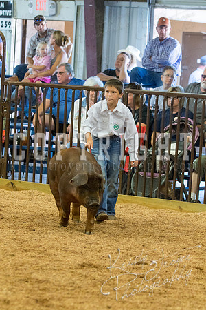 MAYES_COUNTY_FAIR_SWINE_©KTROYER-9512