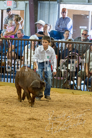 MAYES_COUNTY_FAIR_SWINE_©KTROYER-9513