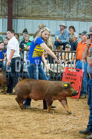 MAYES_COUNTY_FAIR_SWINE_©KTROYER-9514