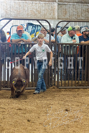 MAYES_COUNTY_FAIR_SWINE_©KTROYER-9516