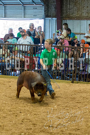 MAYES_COUNTY_FAIR_SWINE_©KTROYER-9518