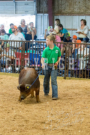 MAYES_COUNTY_FAIR_SWINE_©KTROYER-9519