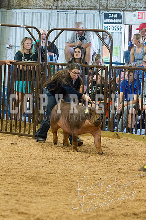 MAYES_COUNTY_FAIR_SWINE_©KTROYER-9520