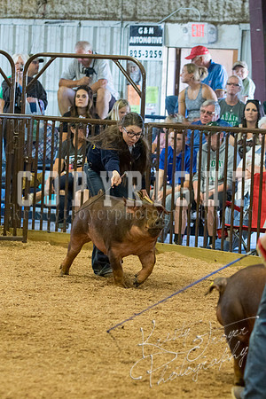 MAYES_COUNTY_FAIR_SWINE_©KTROYER-9521