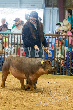 MAYES_COUNTY_FAIR_SWINE_©KTROYER-9522