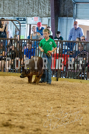 MAYES_COUNTY_FAIR_SWINE_©KTROYER-9523