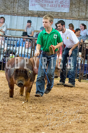 MAYES_COUNTY_FAIR_SWINE_©KTROYER-9524