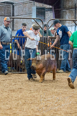 MAYES_COUNTY_FAIR_SWINE_©KTROYER-9525