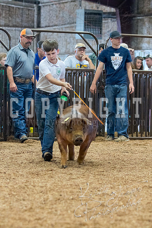MAYES_COUNTY_FAIR_SWINE_©KTROYER-9526