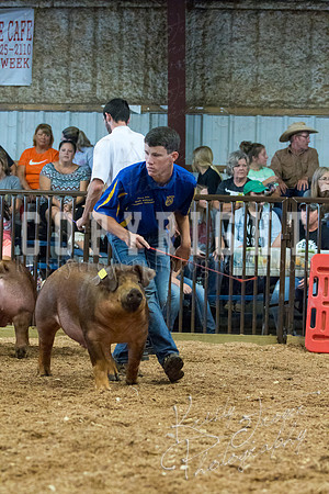 MAYES_COUNTY_FAIR_SWINE_©KTROYER-9528