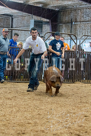 MAYES_COUNTY_FAIR_SWINE_©KTROYER-9527