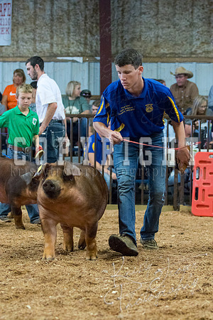 MAYES_COUNTY_FAIR_SWINE_©KTROYER-9529