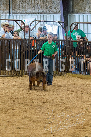 MAYES_COUNTY_FAIR_SWINE_©KTROYER-9530