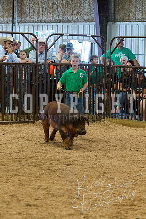 MAYES_COUNTY_FAIR_SWINE_©KTROYER-9531