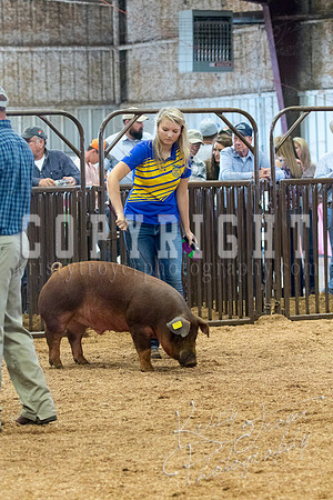 MAYES_COUNTY_FAIR_SWINE_©KTROYER-9532